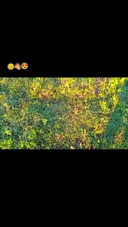 TikTok video thumbnail by husayinjon_7