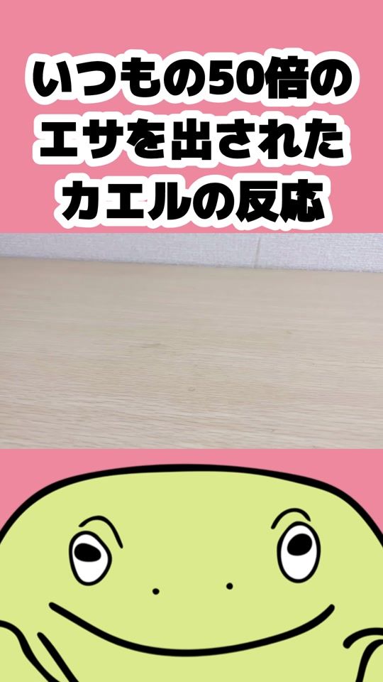 TikTok video thumbnail by mushi_frog
