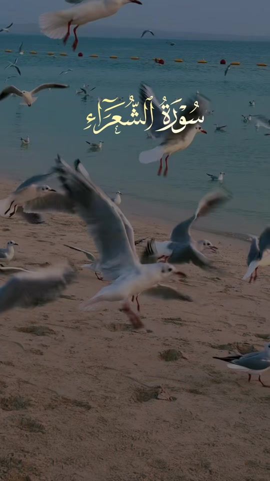 TikTok video thumbnail by fungan___