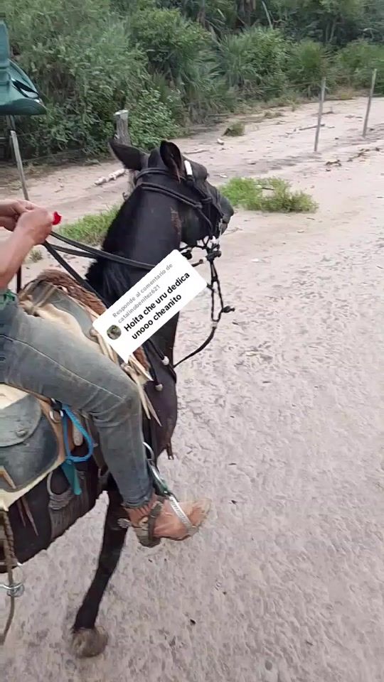 TikTok video thumbnail by mita.i.alegre