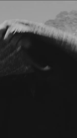 TikTok video thumbnail by moonz_.22