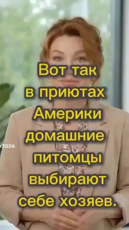 TikTok video thumbnail by 100468j