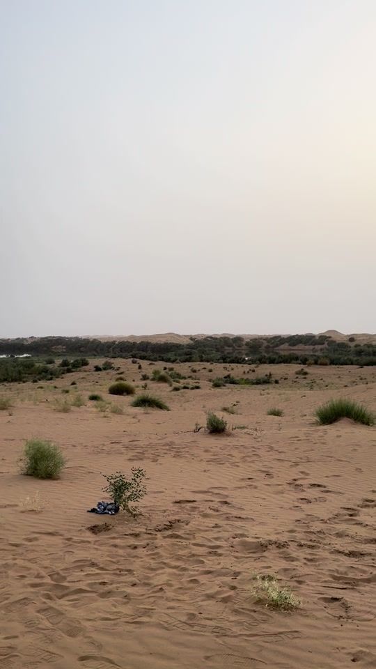 TikTok video thumbnail by media_baluchistan