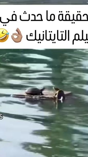 TikTok video thumbnail by alberaq_1445