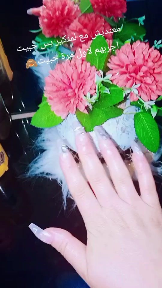 TikTok video thumbnail by user312324665