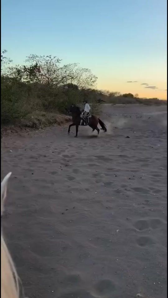 TikTok video thumbnail by edwingsanchez21