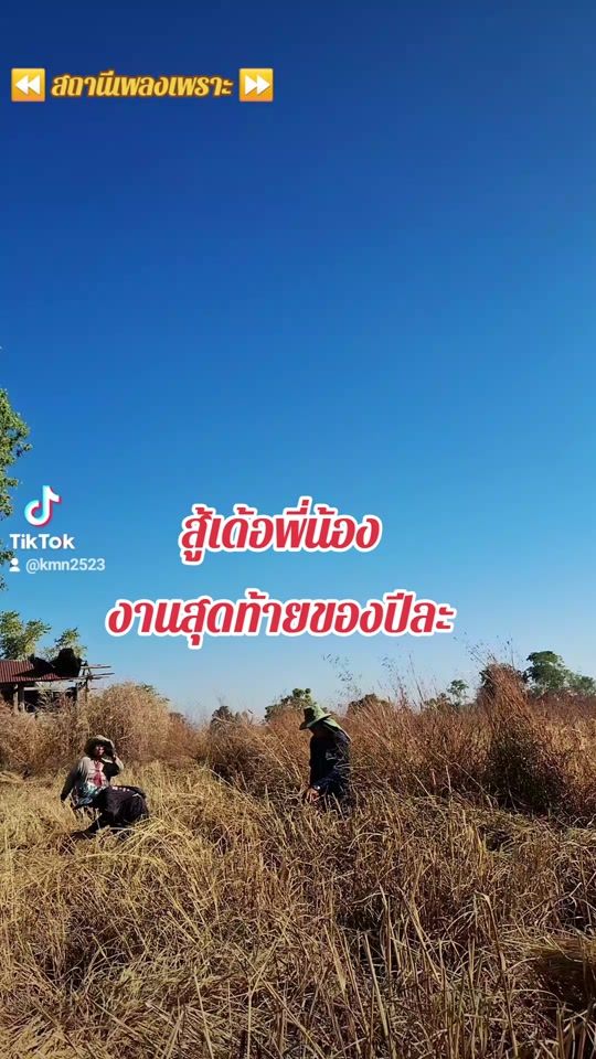 TikTok video thumbnail by kmn2523