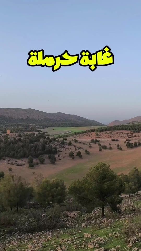TikTok video thumbnail by sougueur.off