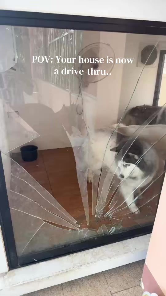 TikTok video thumbnail by bbbumbimbim