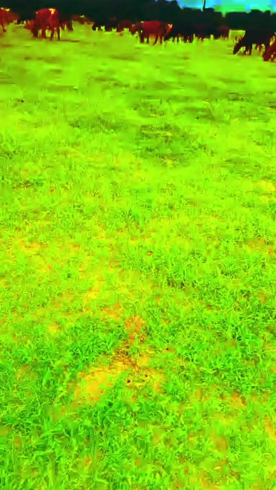 TikTok video thumbnail by .187892
