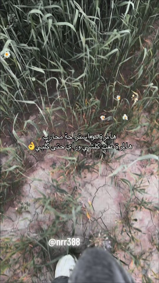 TikTok video thumbnail by nrr388