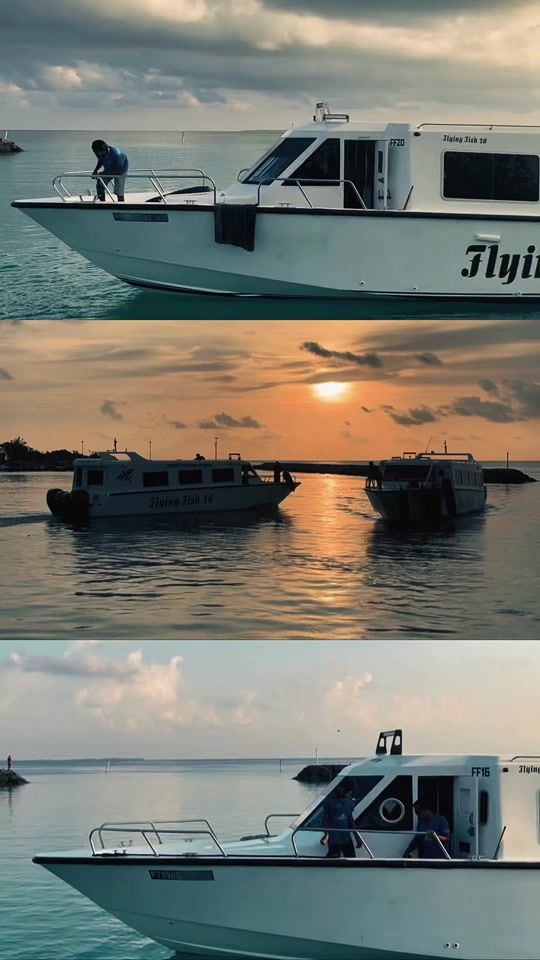 TikTok video thumbnail by flying_fish_since