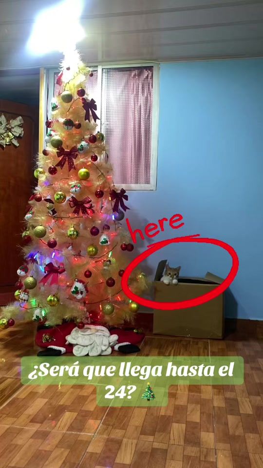 TikTok video thumbnail by anni_hernandez_