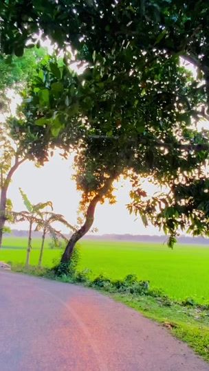 TikTok video thumbnail by rifat_018