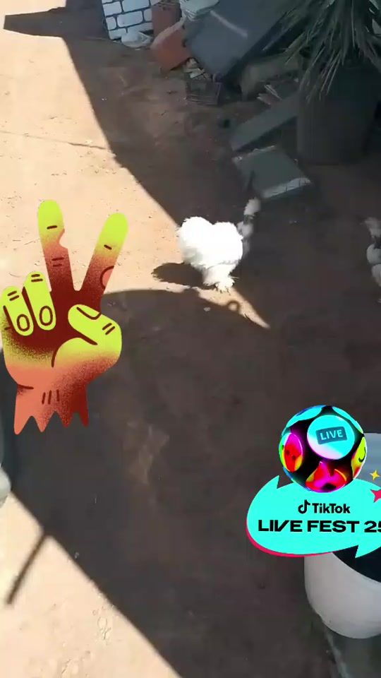 TikTok video thumbnail by user7671131496725