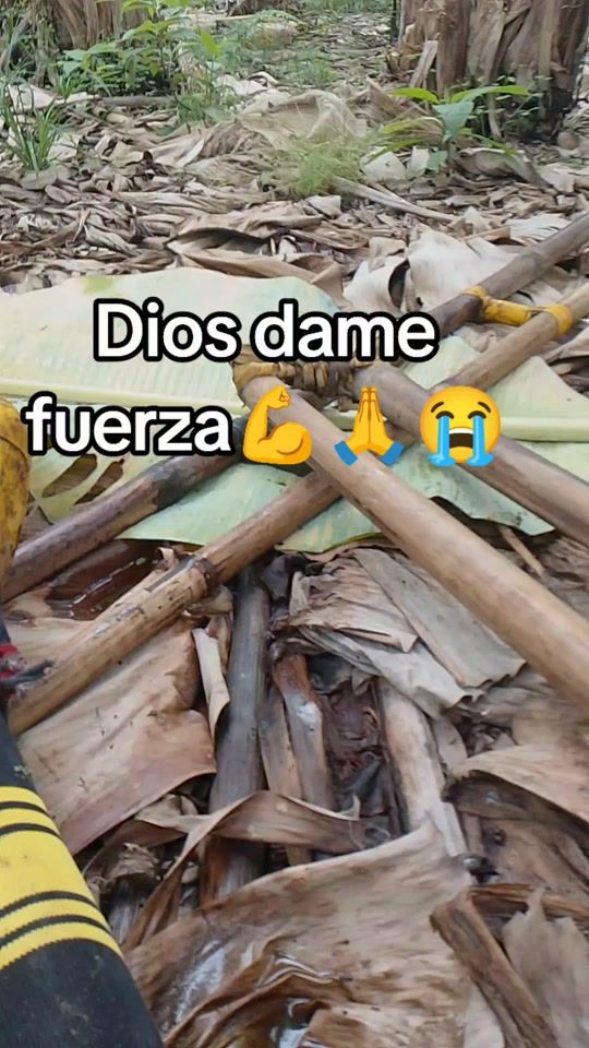 TikTok video thumbnail by jubermoreira20