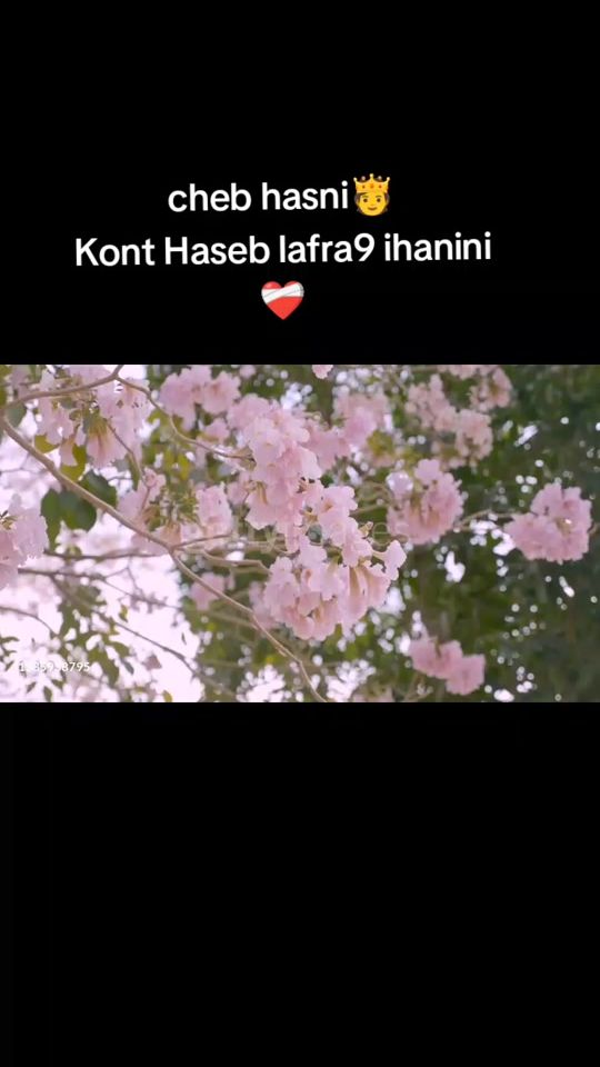 TikTok video thumbnail by music.12_40