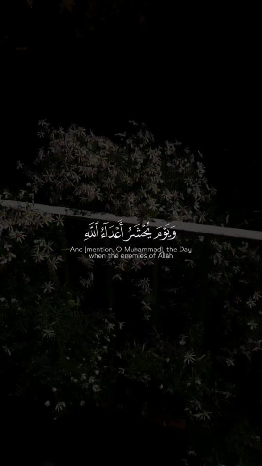 TikTok video thumbnail by ..quran_07