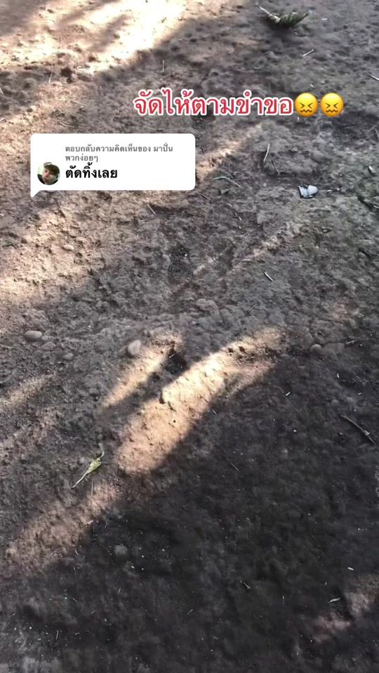 TikTok video thumbnail by xa.ceng