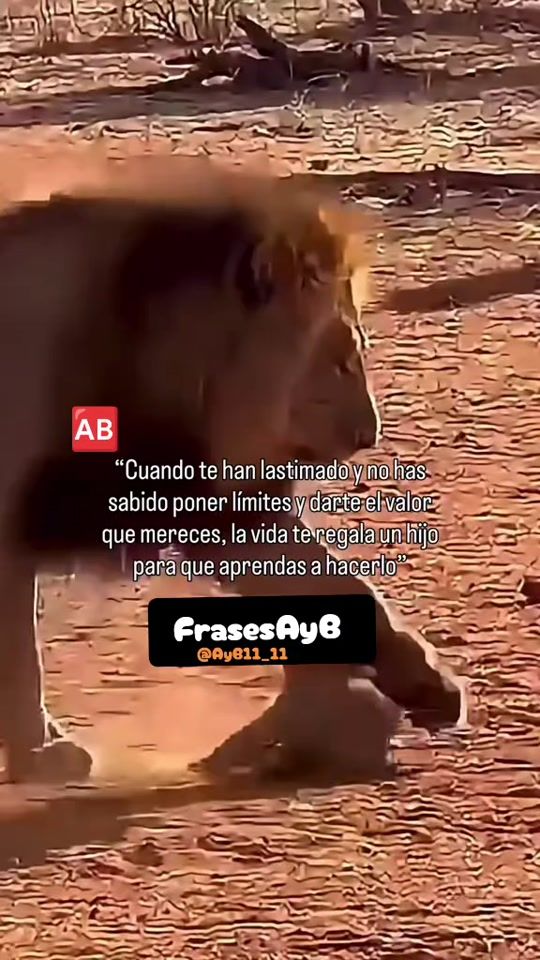 TikTok video thumbnail by ayb11_11ayb