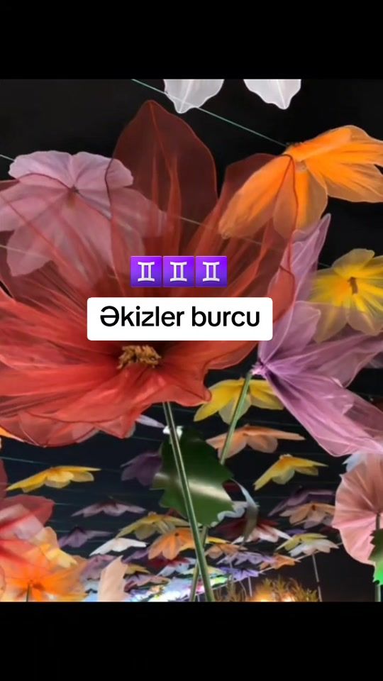 TikTok video thumbnail by e_k_i_z_l_e_r