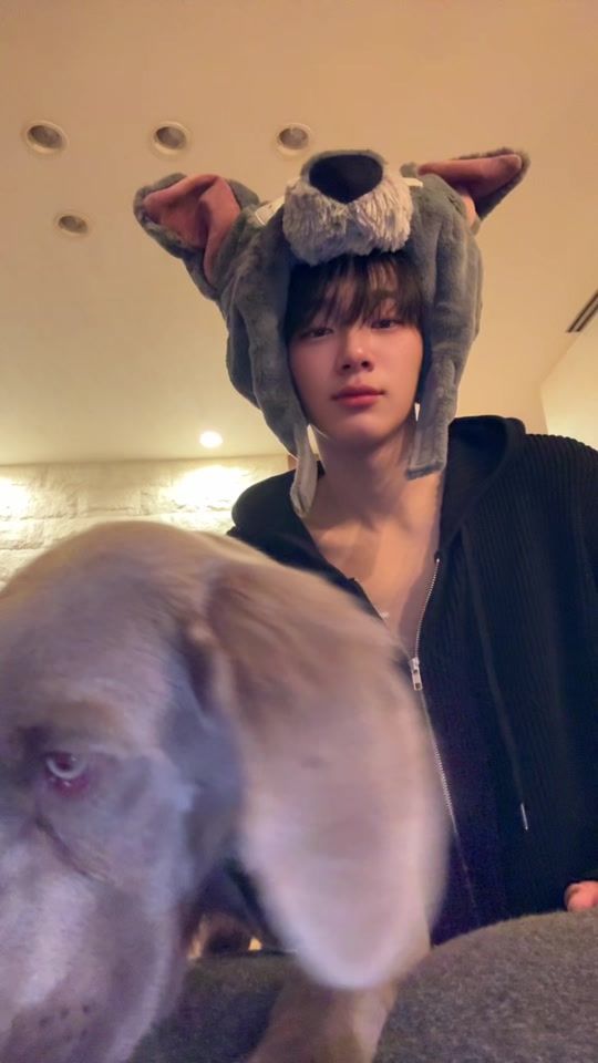 TikTok video thumbnail by kuroiro.1