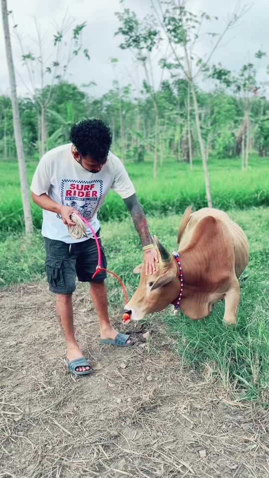 TikTok video thumbnail by neverdie385