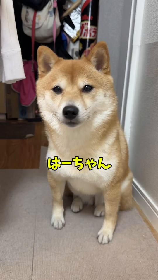 TikTok video thumbnail by hanachi610