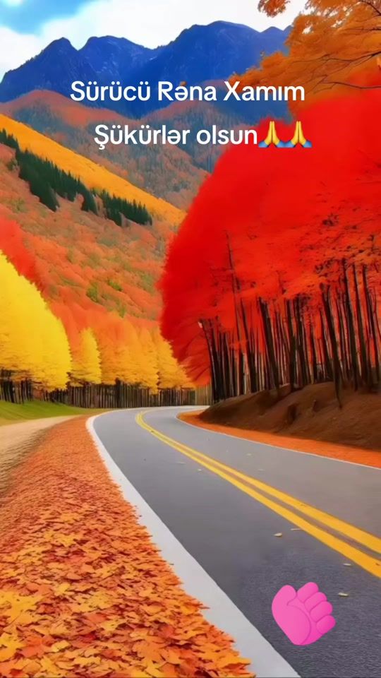 TikTok video thumbnail by bus_driver448