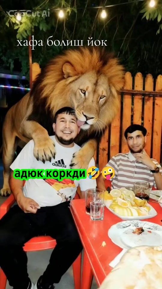 TikTok video thumbnail by user1976028831