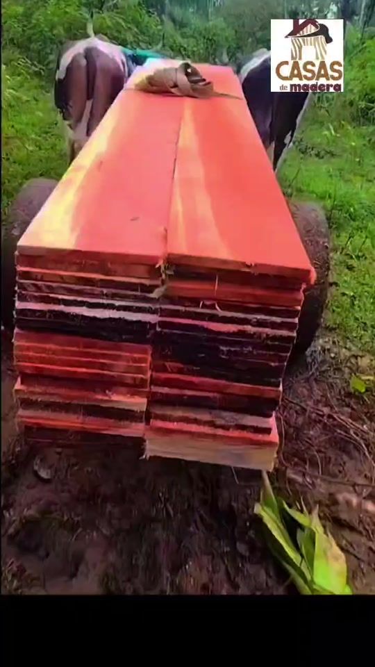 TikTok video thumbnail by casas.de.madera
