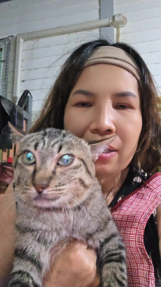 TikTok video thumbnail by pang_pond27