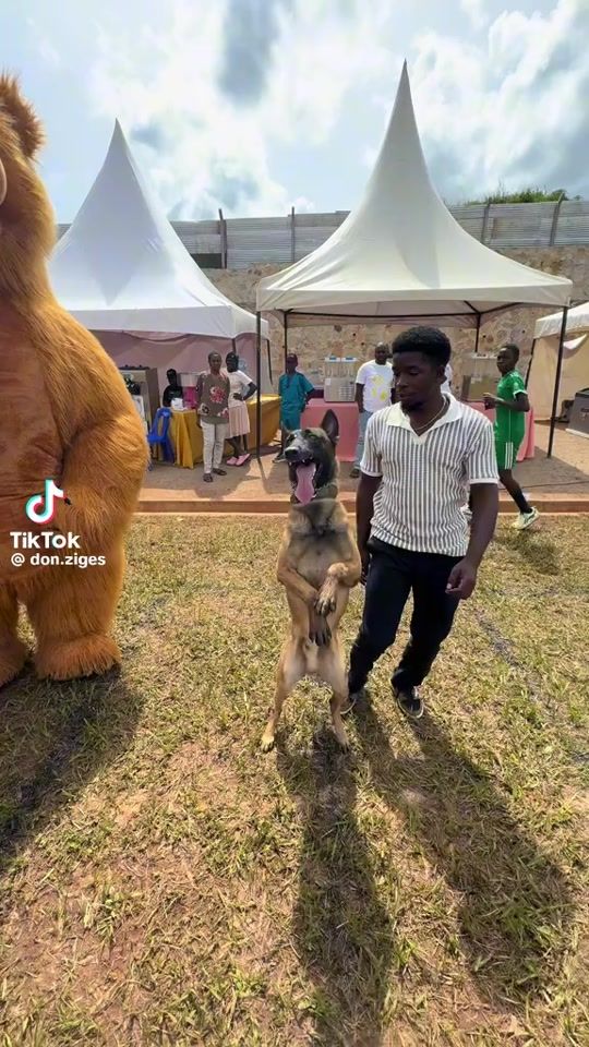TikTok video thumbnail by alvinzikky