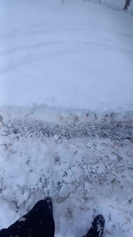 TikTok video thumbnail by wiklauri48