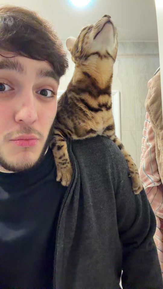TikTok video thumbnail by im.tigrann