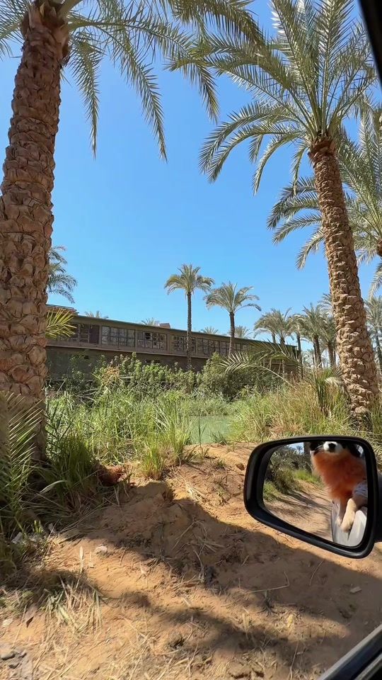 TikTok video thumbnail by maloka__mohamedd