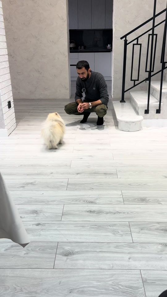 TikTok video thumbnail by sukur_doors