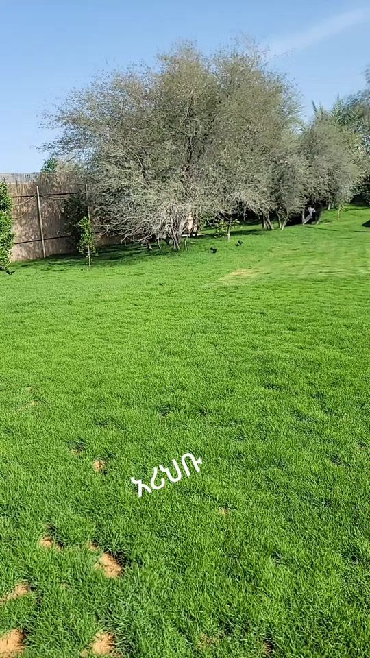TikTok video thumbnail by usmanebrahim829