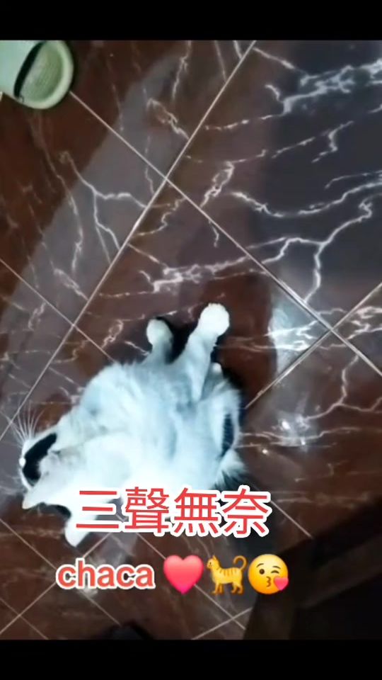 TikTok video thumbnail by tiw8080