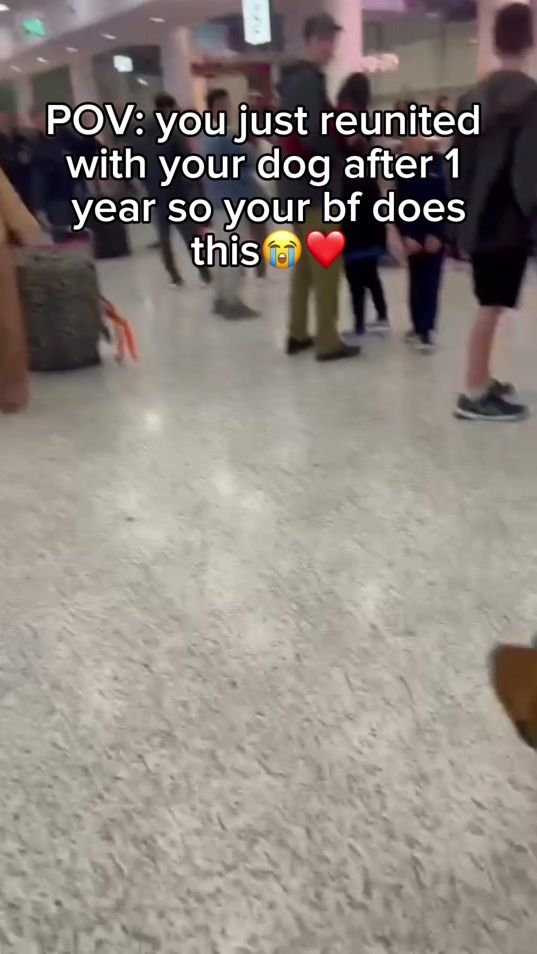 TikTok video thumbnail by glowing_buddy_