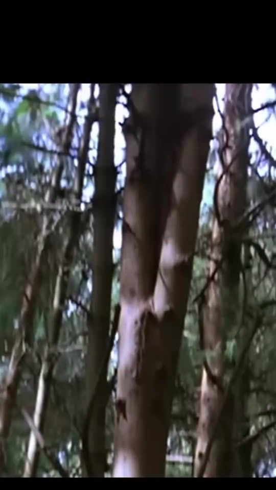 TikTok video thumbnail by s.d017