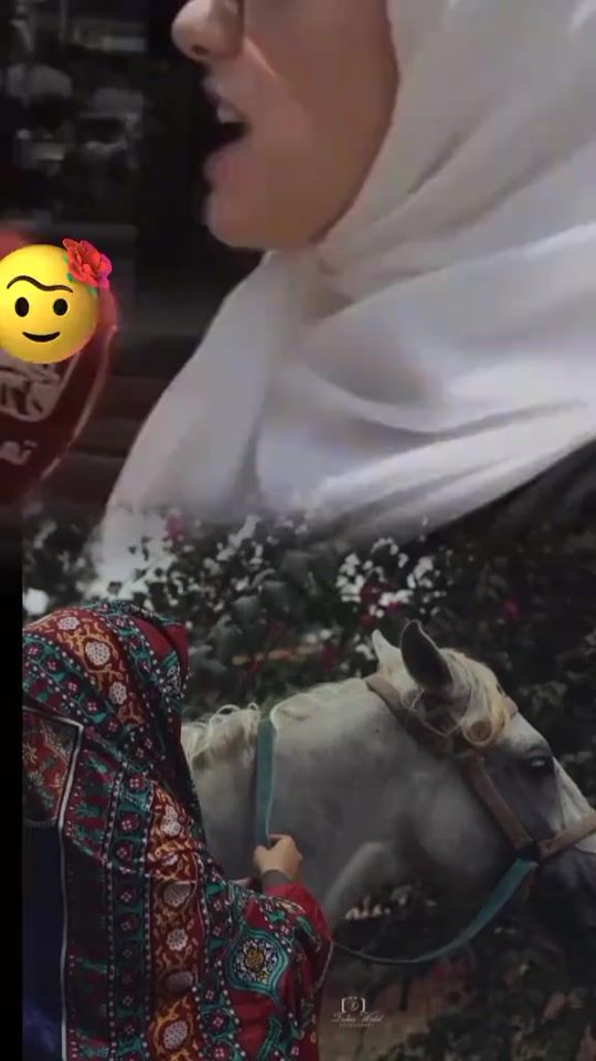 TikTok video thumbnail by .z55z5