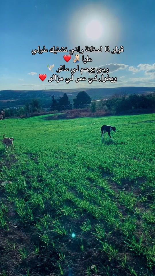 TikTok video thumbnail by ayoubmerghid0