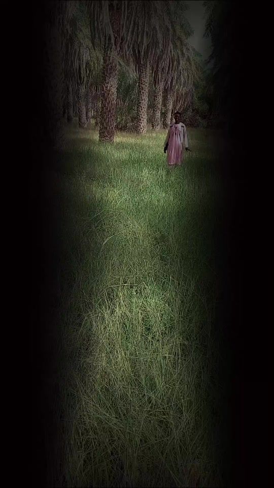 TikTok video thumbnail by malik55gmail.com6