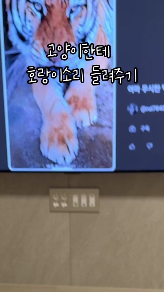 TikTok video thumbnail by kkomi__land