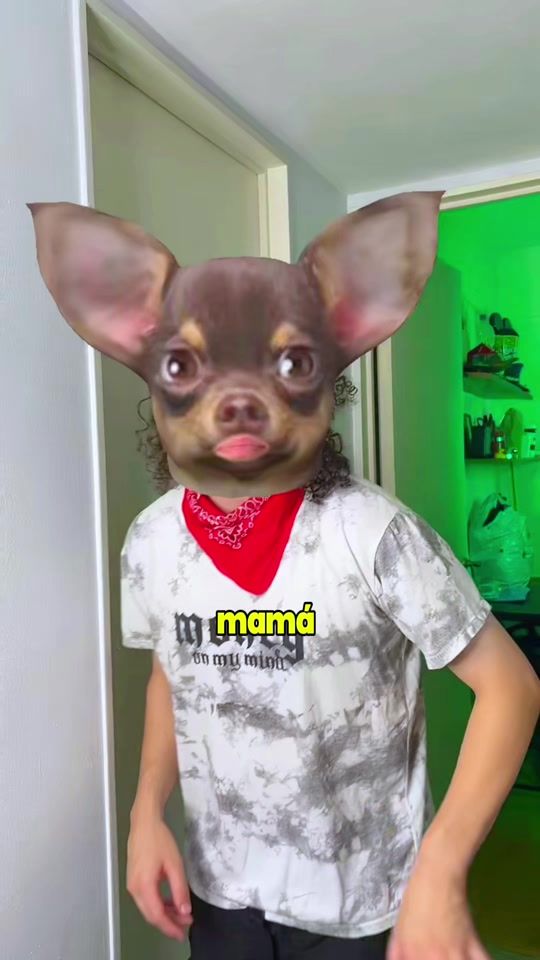 TikTok video thumbnail by ivomagia