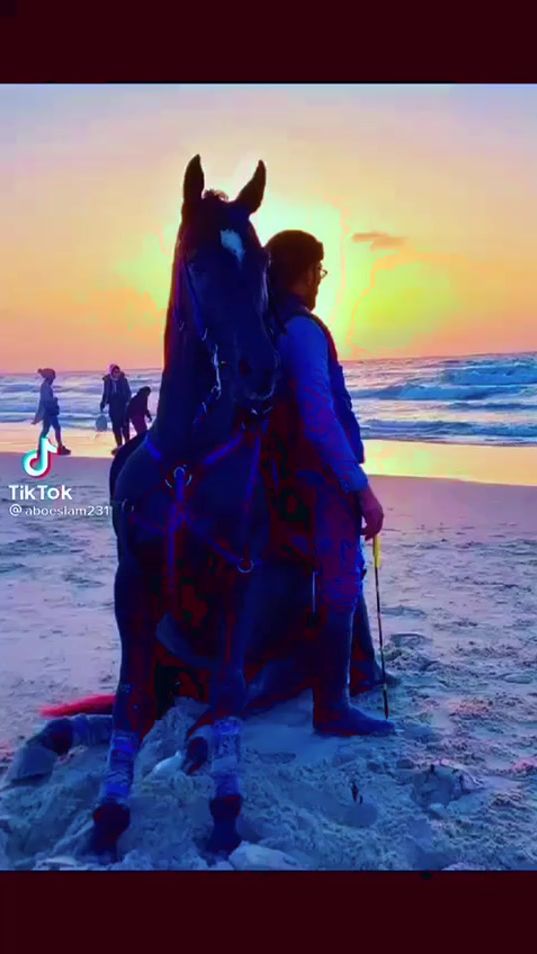 TikTok video thumbnail by aboeslam231