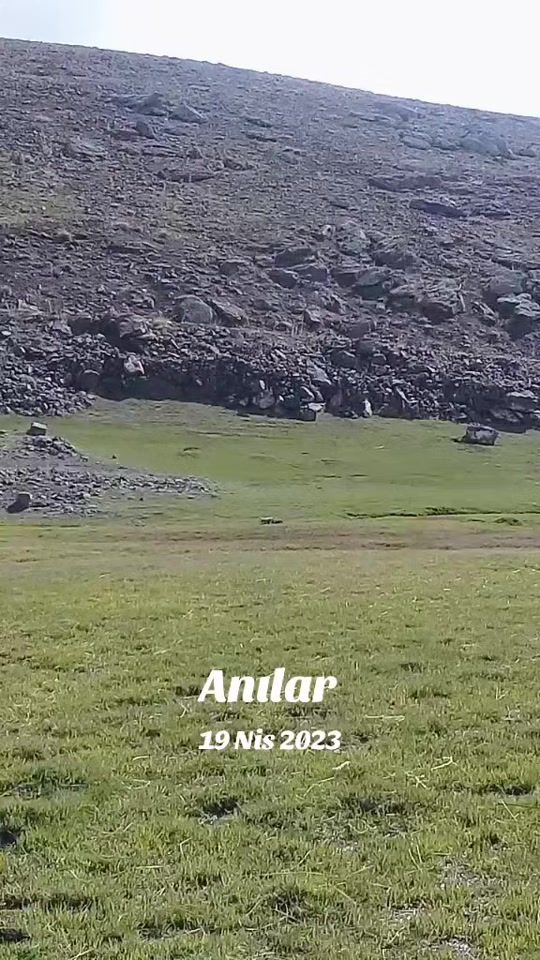 TikTok video thumbnail by rojawaa