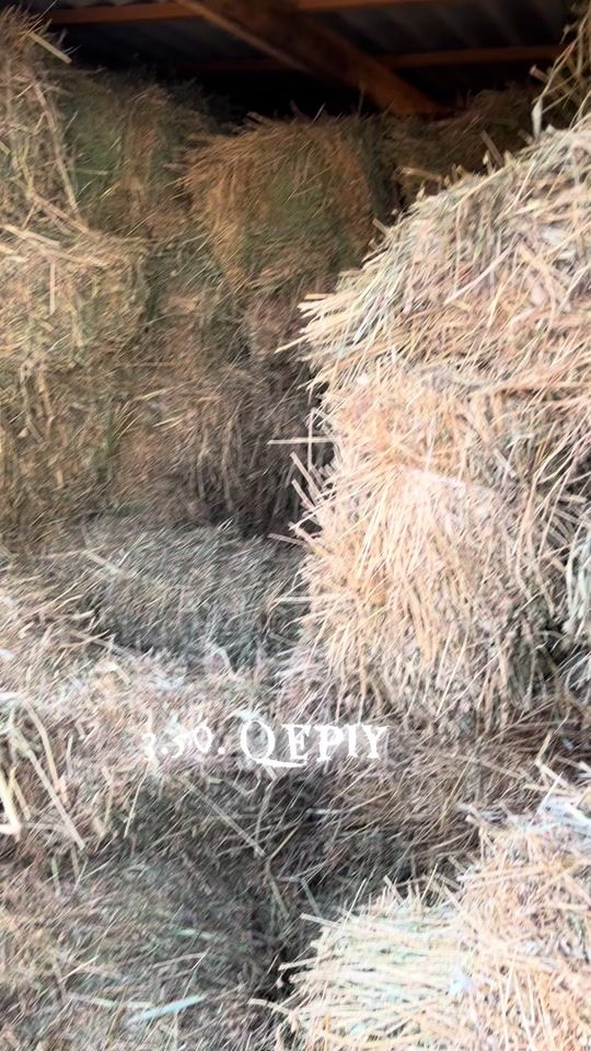 TikTok video thumbnail by alxan.54