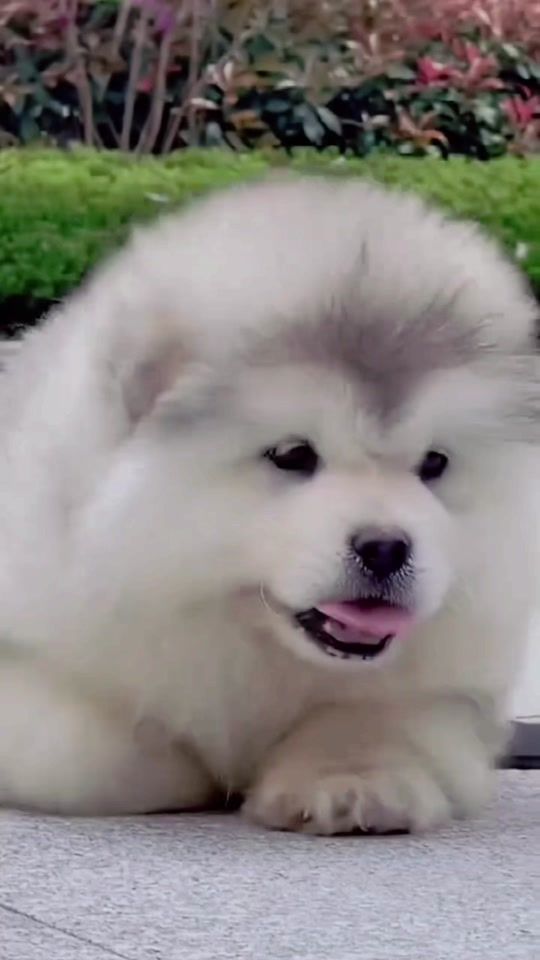 TikTok video thumbnail by jiojio99